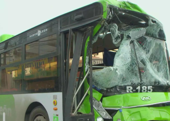 ¡Crisis en Transporte! 20% de los Camiones Fuera de Servicio