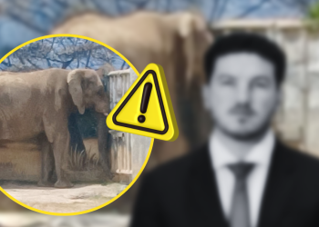 maltrato animal La Pastora