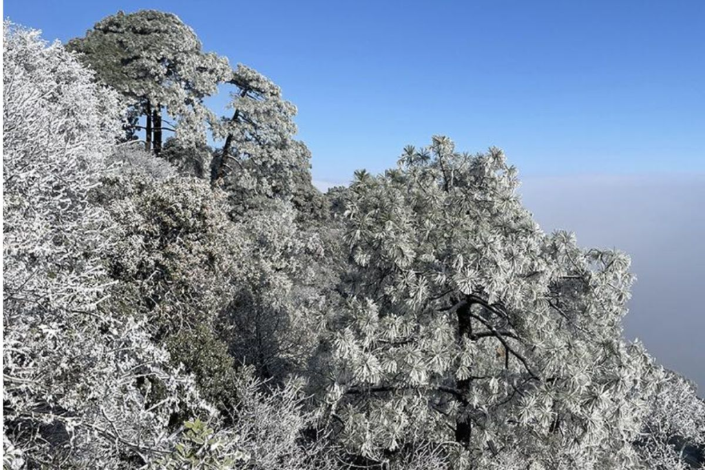La Posibilidad De Nieve En Nuevo León Genera Dudas Cada Invierno. Te Explicamos Qué Dicen Los Pronósticos Y Qué Se Espera En Este Frente Frío.