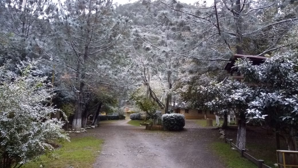 La Posibilidad De Nieve En Nuevo León Genera Dudas Cada Invierno. Te Explicamos Qué Dicen Los Pronósticos Y Qué Se Espera En Este Frente Frío.