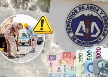 Impuesto Verde En Nuevo León - Tu Colonia Regia