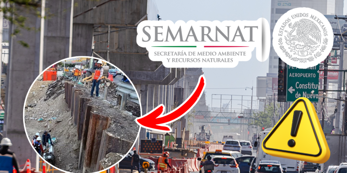 Negligencia En Línea 4 - Tu Colonia Regia