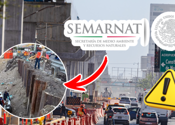 Negligencia En Línea 4 - Tu Colonia Regia