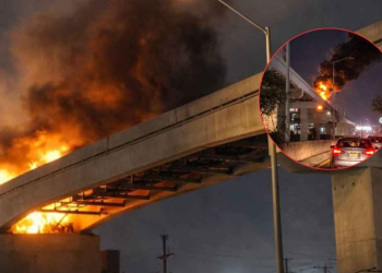 Línea-6-del-metro-trabajador-en-peligro-guadalupe-metro-estatal-dudas-en-seguridad - Tu Colonia Regia
