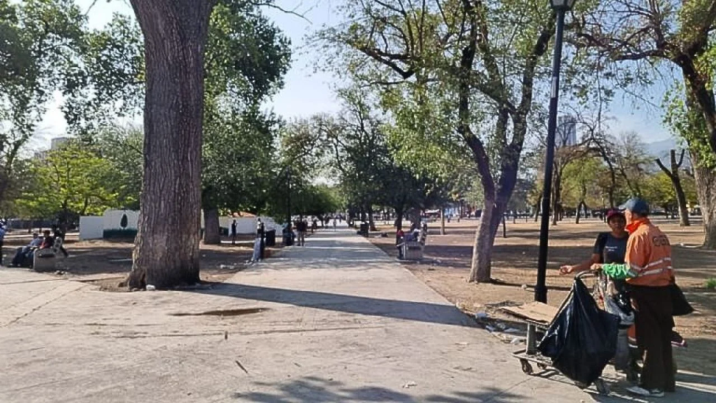 Proyecto-de-reforestación-en-nuevo-león-reforestación-en-nuevo-león-reforestación-en-monterrey-cuántos-árboles-plantó-samuel