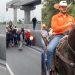 Caballos Tirados En Fundidora - Tu Colonia Regia Caballos Tirados En Fundidora - Tu Colonia Regia