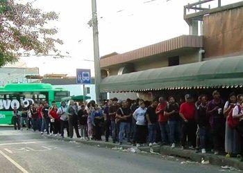 Camiones Nuevo León - Tu Colonia Regia