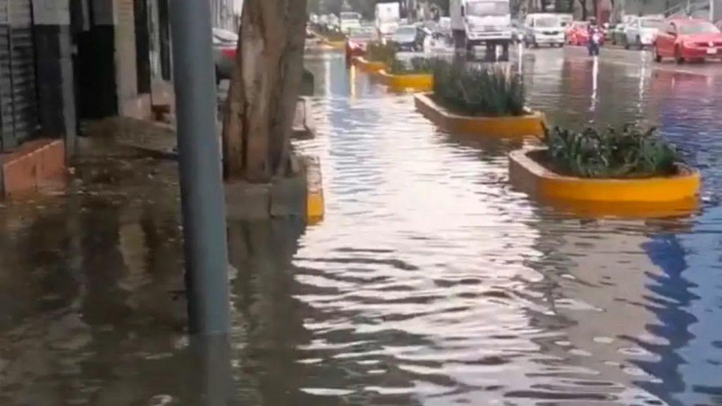 Alerta Púrpura En Cdmx - Tu Colonia Regia